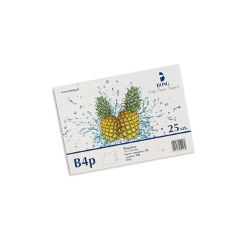 Koperta uniwersalna B4 HK BONG kol. brązowy papier 250 x 353mm 100g foliowana 25 szt. [2280-25]