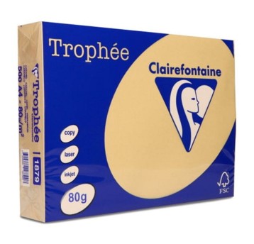 Papier kolorowy A4 80g 500 arkuszy TROPHEE kol. brąz wielbłądzi pastel [XCA41879]