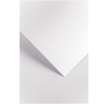 Papier ozdobny A4 220g 20 arkuszy GALERIA PAPIERU Kratka kol. biały [201631]