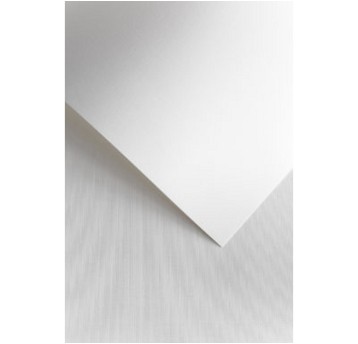 Papier ozdobny biały A4 120g 50 arkuszy GALERIA PAPIERU Płótno [206101]