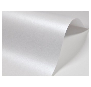 Papier ozdobny biały metalic A4 250g 20 arkuszy SMART LINE TOP STYLE [TSGL425/00/20]