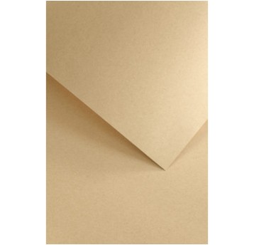 Papier ozdobny ciemnobeżowy A4 220g 20 arkuszy GALERIA PAPIERU Nature [204726]