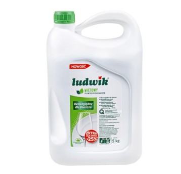 Płyn do mycia naczyń LUDWIK mięta 5L [HG-430013]