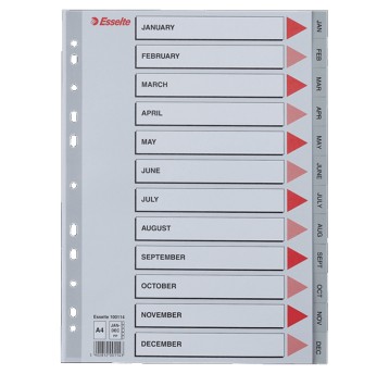 Przekładki numeryczne A4 1-12 ESSELTE plastik kol. szary [100114]