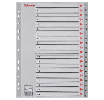 Przekładki numeryczne A4 1-20 ESSELTE plastik kol. szary [100107]