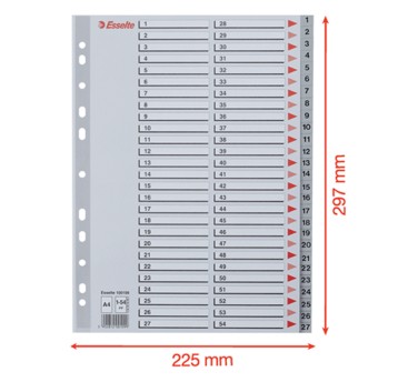 Przekładki numeryczne A4 1-54 ESSELTE plastik kol. szary [100109]