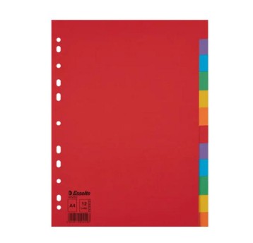 Przekładki uniwersalne A4 1-12 ESSELTE karton wielokolorowy [100202]