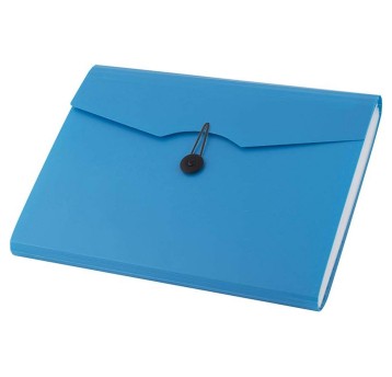 Teczka harmonijkowa 12 przegródek A4 D.RECT tworzywo sztuczne kol. niebieski 5580 [110390]