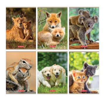 Zeszyt A5 kratka 16 kartek HERLITZ Animals okładka miękka [9583048]